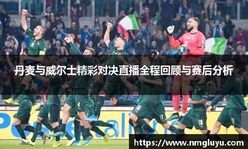 丹麦与威尔士精彩对决直播全程回顾与赛后分析