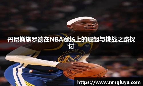 丹尼斯施罗德在NBA赛场上的崛起与挑战之路探讨